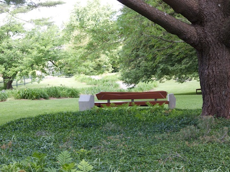 back view of bench 4 at berkshire botanical garden